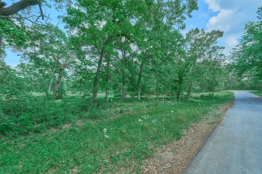 27610 S Log Cabin Road, Montgomery, TX 77356 - #3