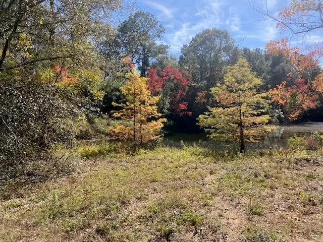 TBD County Road 21681 East Off 223, Cleveland, TX 77327 - Image #2