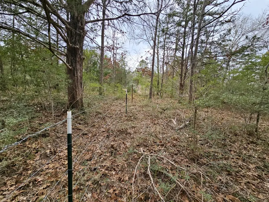 TBD Jackrabbit Lane Lane, Bryan, TX 77808 - #3