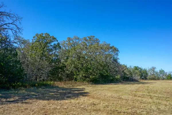 Lot 2 County Rd 229, Bedias, TX 77831