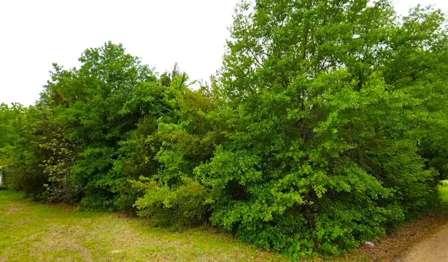 00 Sunset Bay Drive, Gun Barrel City, TX 75156 - Image #2