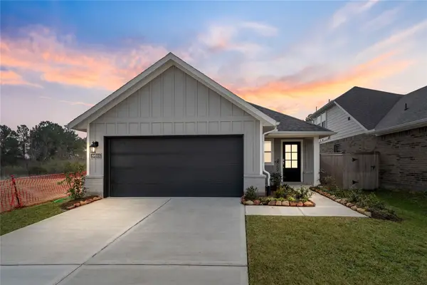 19555 Montgomery Ridge Way, Montgomery, TX 77316