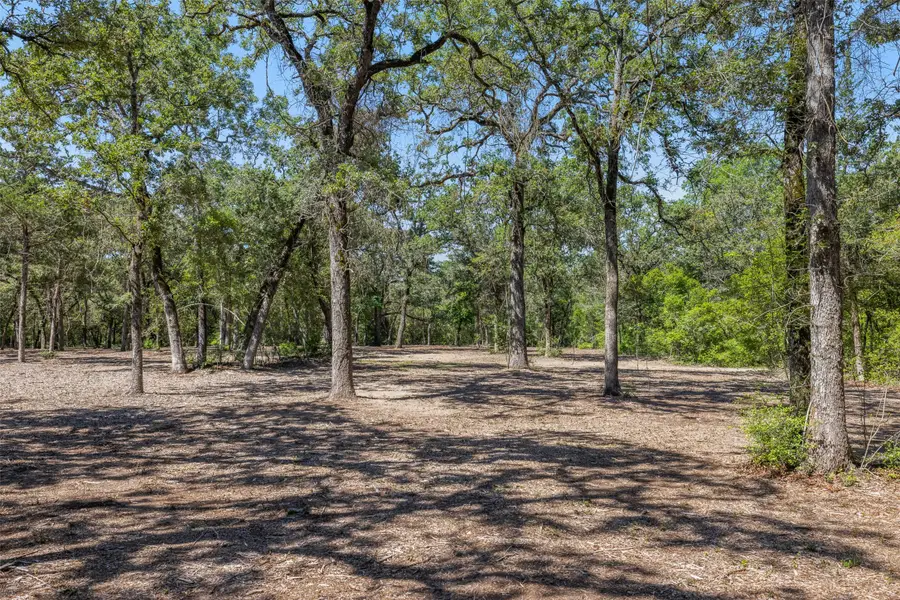 2465 County Road 58, Caldwell, TX 77836 - #3