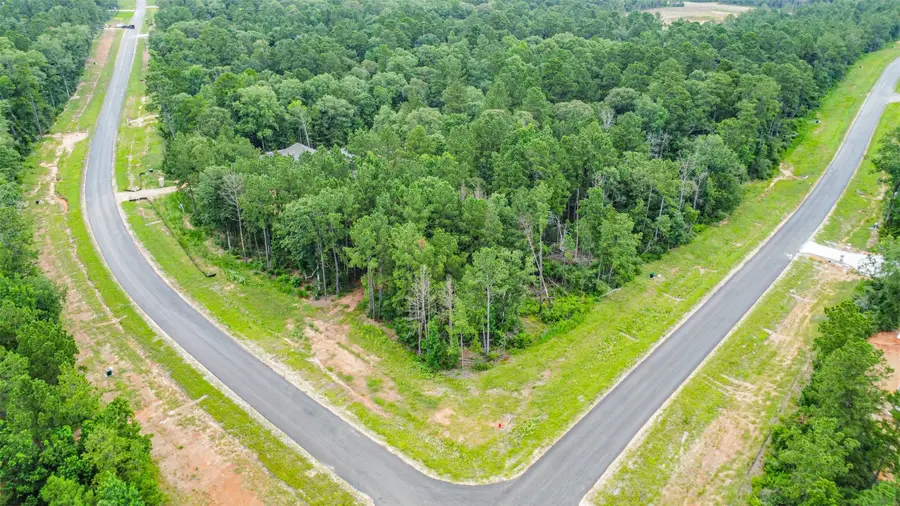 15945 Four Hills Road, Willis, TX 77378 - #2