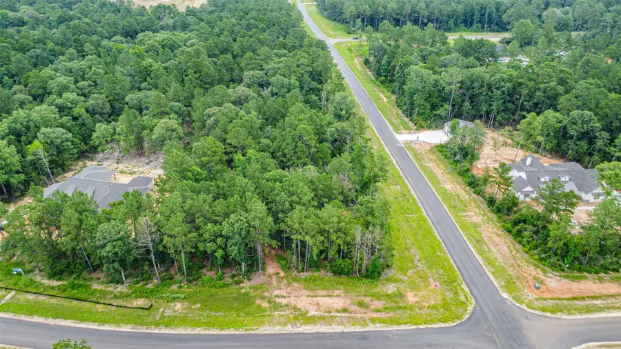 15945 Four Hills Road, Willis, TX 77378 - #3