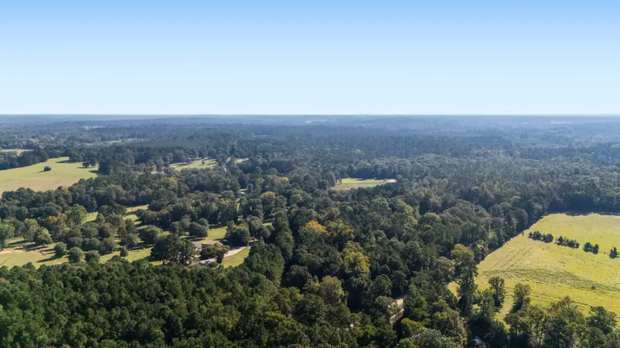 TBD Old Israel, Livingston, TX 77351 - Image #2