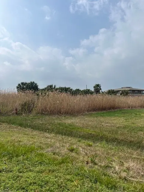 33 Lot 33 Palm Beach, Galveston, TX 77554 - #1