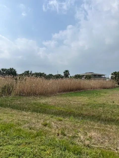 33 Lot 33 Palm Beach, Galveston, TX 77554 - #3
