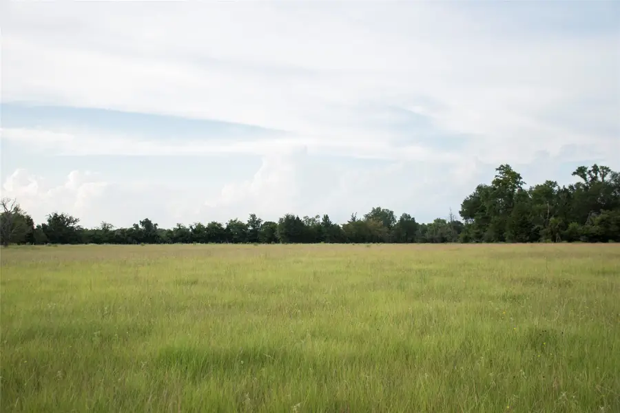 1202 County Road 2255, Grapeland, TX 75844 - Image #2