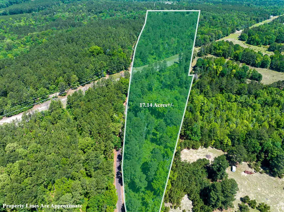 4 County Road 1115, Atlanta, TX 75551 - #1