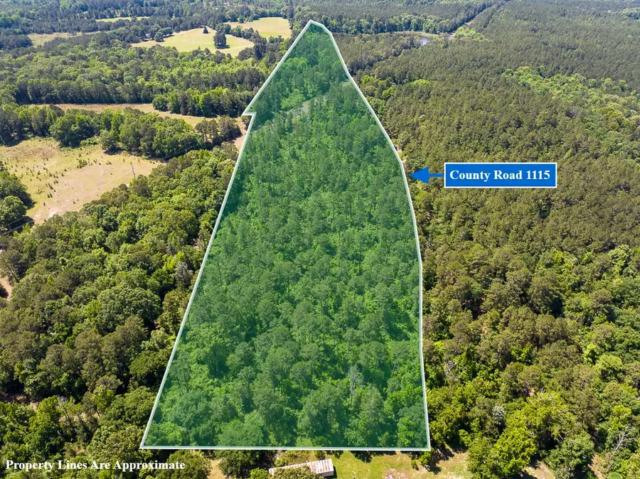 4 County Road 1115, Atlanta, TX 75551 - #2