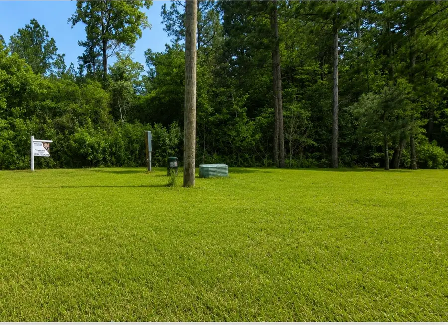 35 Coyote Run, Willis, TX 77378 - #2