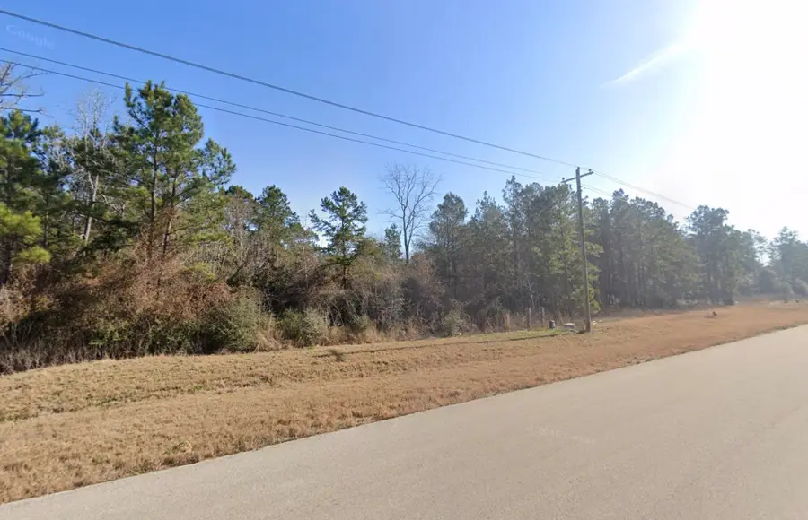 35 Coyote Run, Willis, TX 77378 - #3