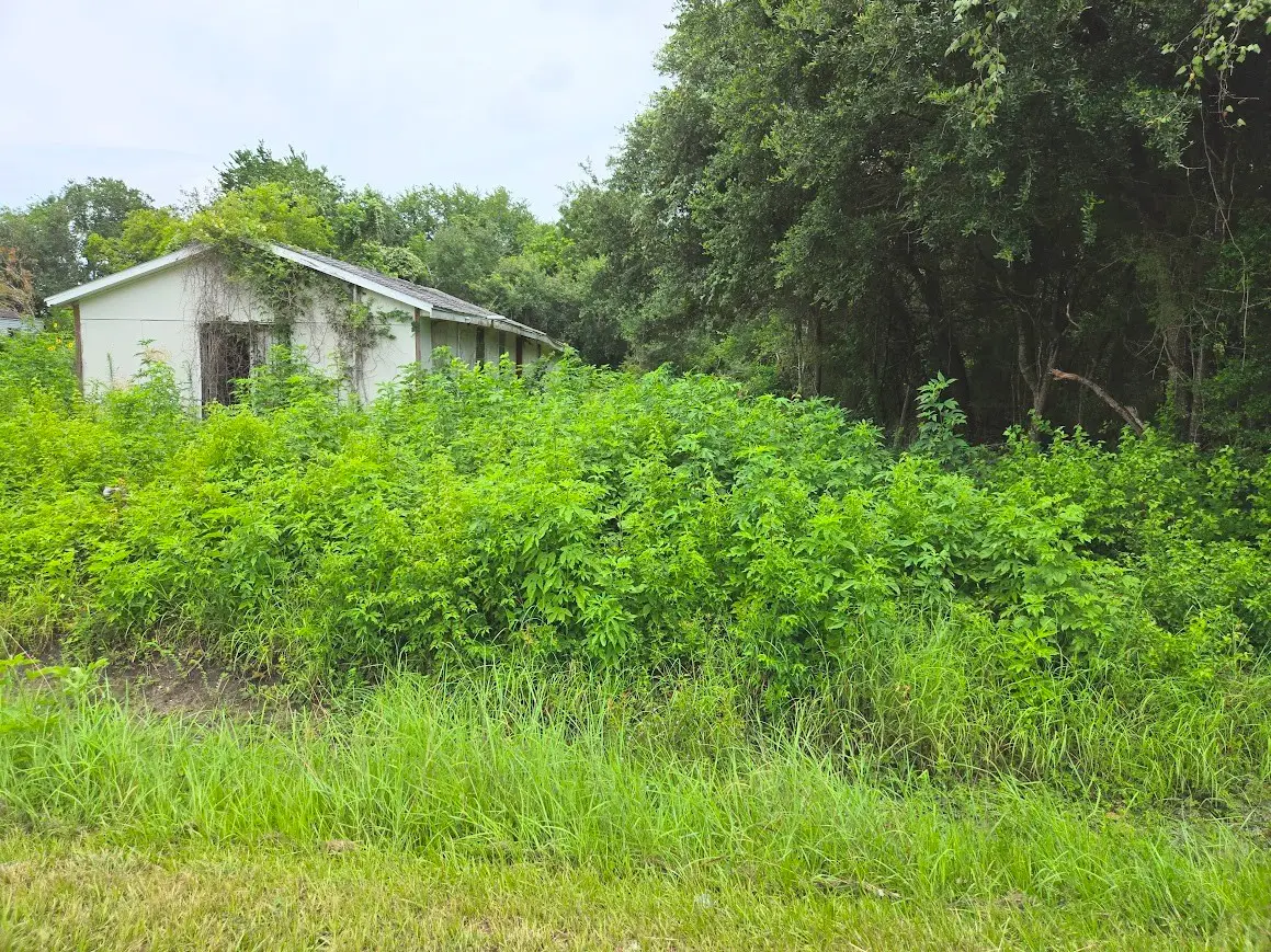 6214 N Martin Luther King Avenue, Hitchcock, TX 77563 - #1