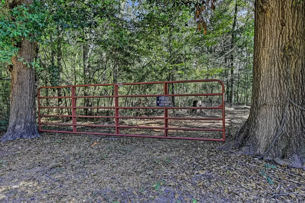 TBD Bryan Lane, Willis, TX 77378 - #1