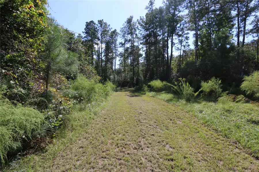 18156 State Highway 87 S, Call, TX 75933 - Image #2