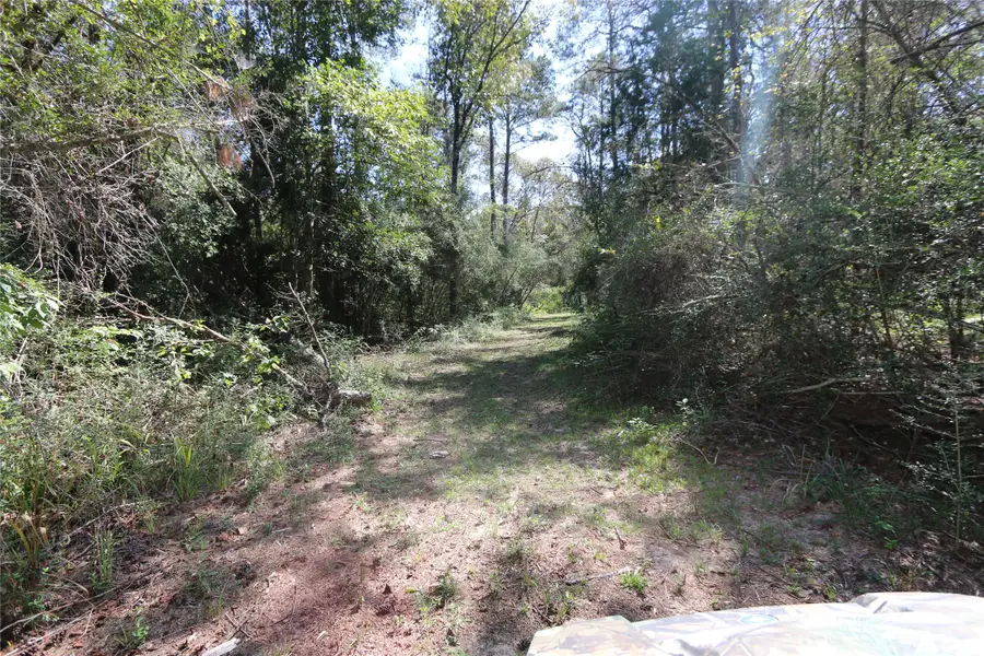 18156 State Highway 87 S, Call, TX 75933 - Image #3