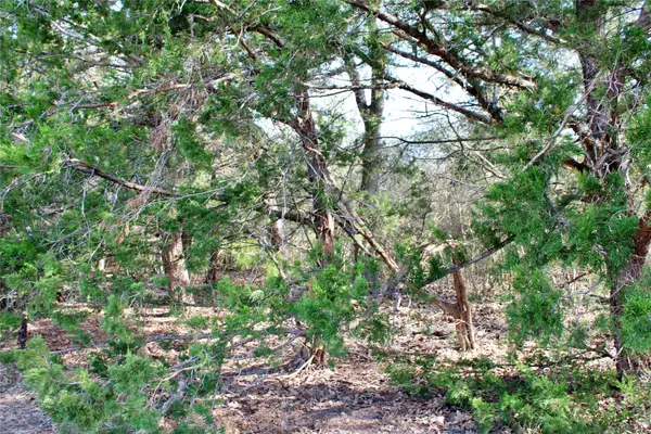 TBD Parcel 5 Lobo Lane, Columbus, TX 78934