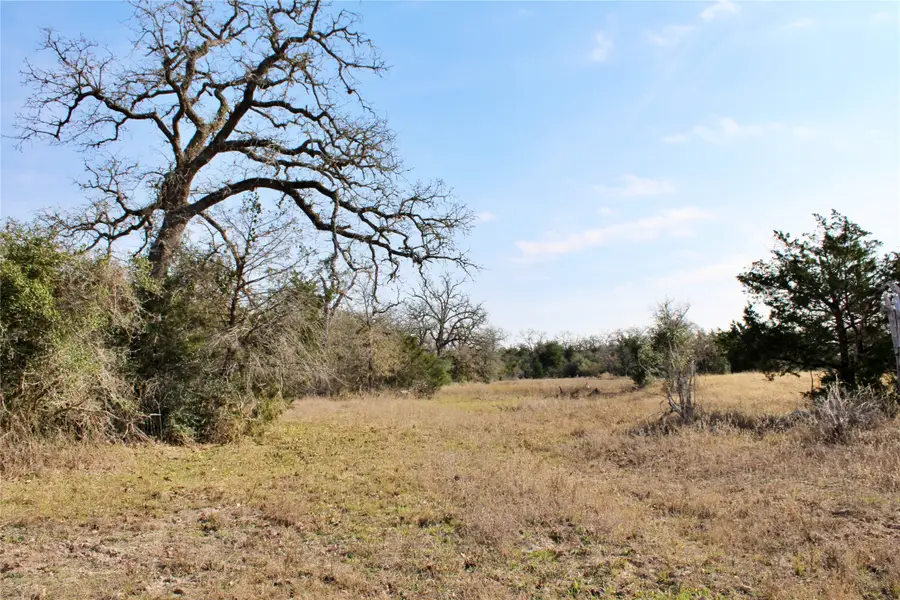 TBD Parcel 5 Lobo Lane, Columbus, TX 78934 - #3