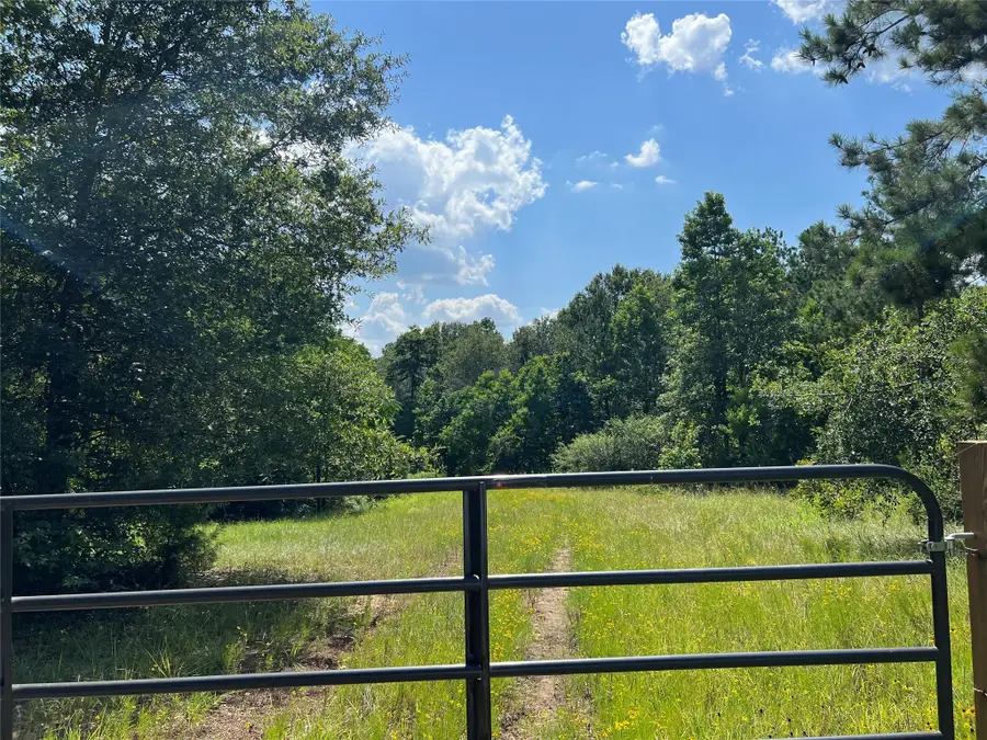 2450 Crockett Martin Road, Conroe, TX 77306 - Image #3