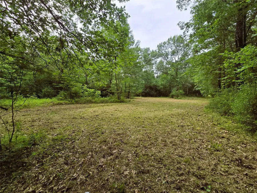 278 Reggie Lane, Trinity, TX 75862 - #3