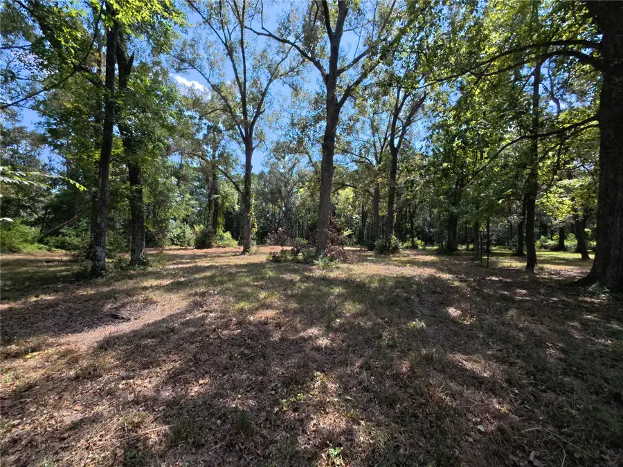 5 River Terrace Rd, Huffman, TX 77336 - #3