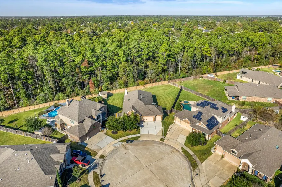 18130 Millau Viaduct Way, Houston, TX 77044 - #2