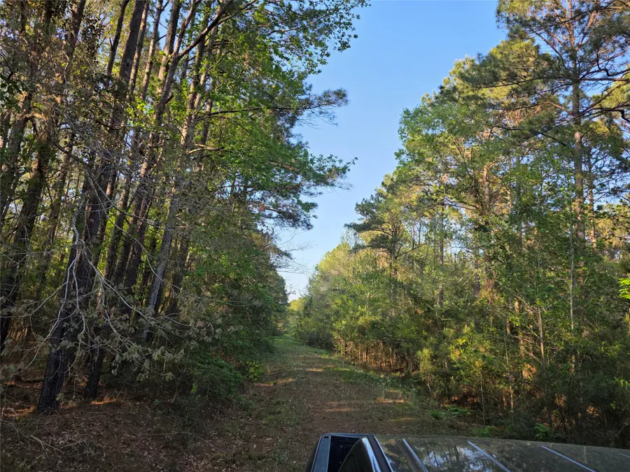 TBD Pacel# 130757 Hwy 190, Point Blank, TX 77364 - #2