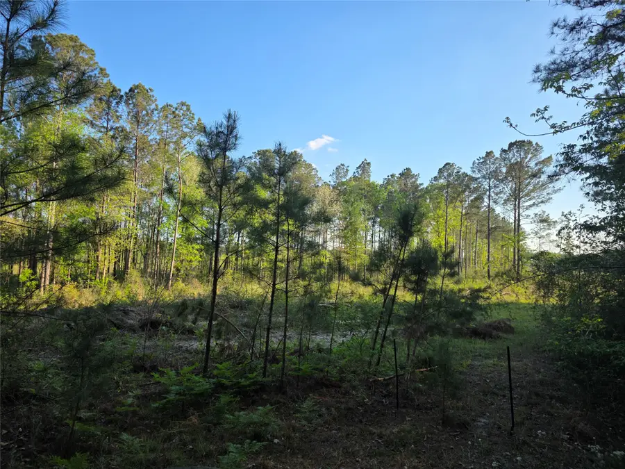 TBD Pacel# 130757 Hwy 190, Point Blank, TX 77364 - #3