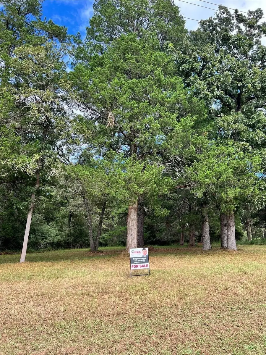 00 North Falls Drive, New Ulm, TX 78950 - Image #3