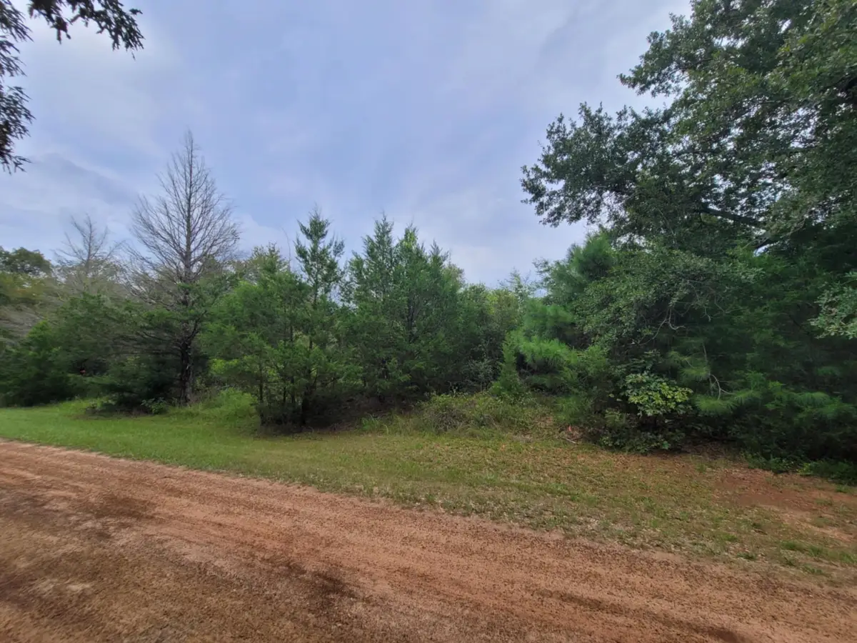 Lot 35 Redwood, Hempstead, TX 77445 - Image #1