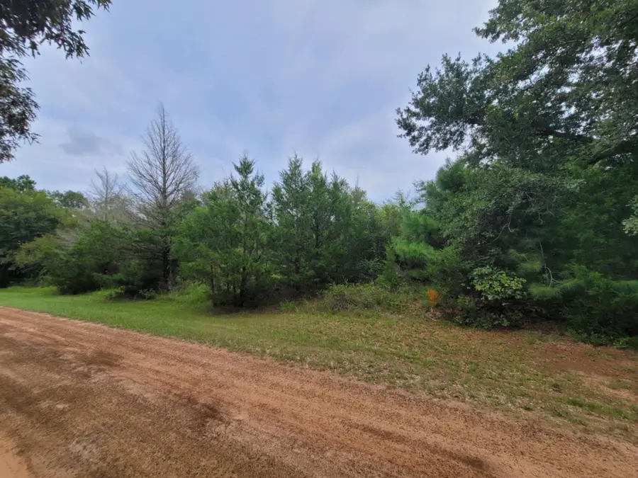 Lot 35 Redwood, Hempstead, TX 77445 - Image #3