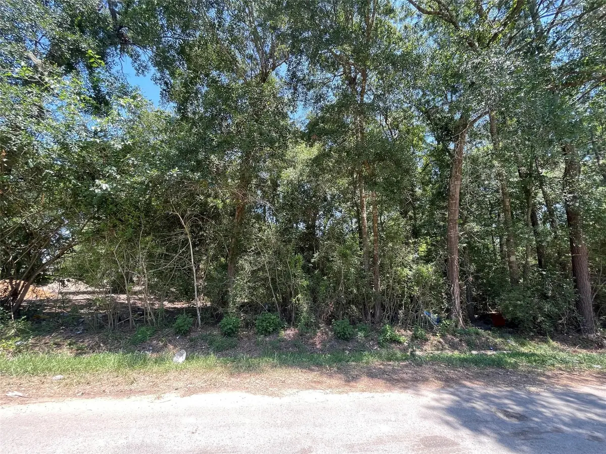 00 County Road 3252, Cleveland, TX 77327 - #1