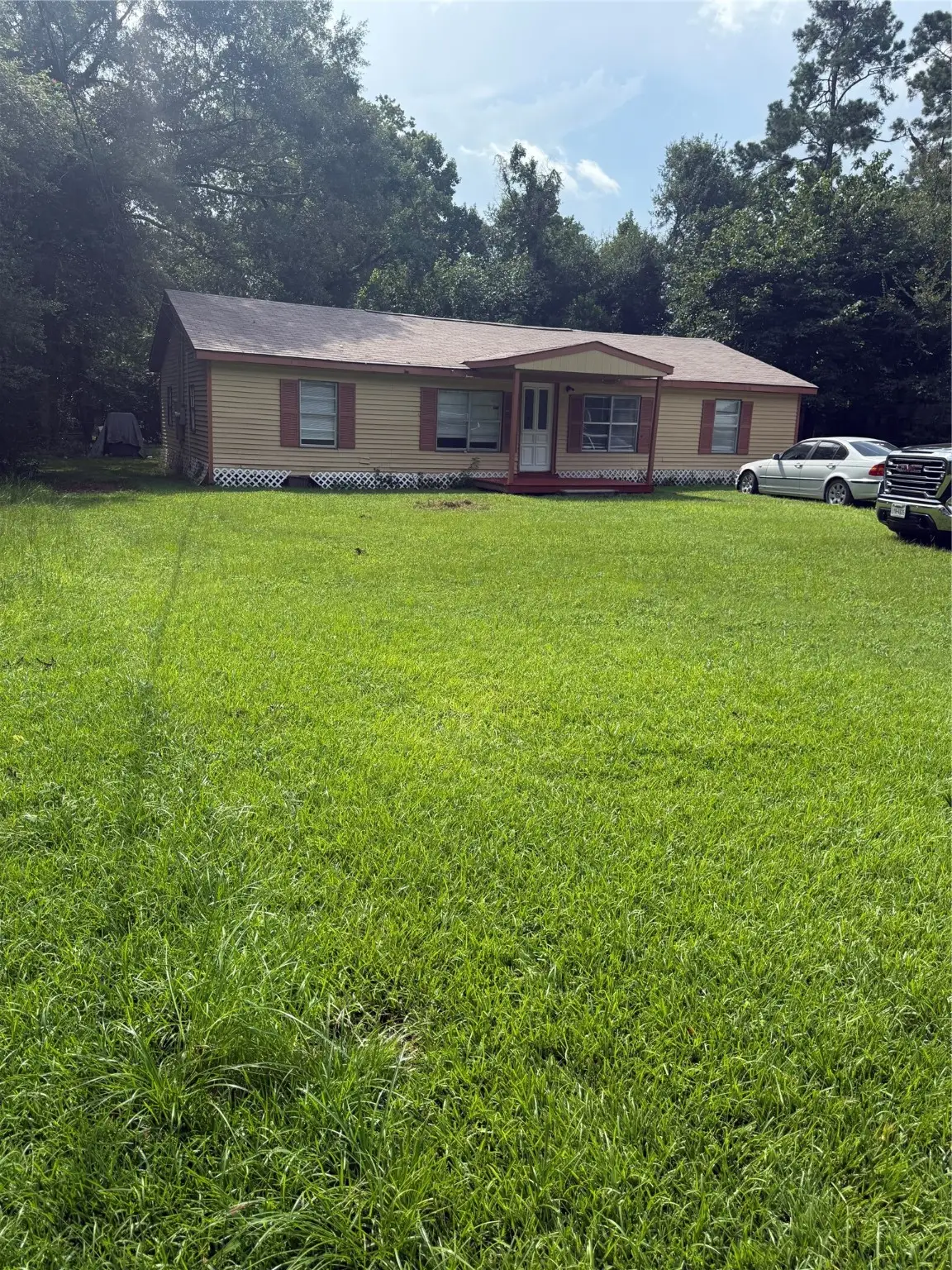 20496 Mcgager Drive, New Caney, TX 77357 - Image #1