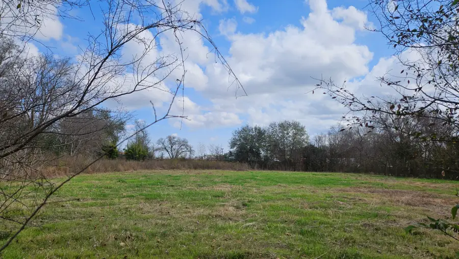 13921 Old Chocolate Bayou Road, Houston, TX 77048 - #2