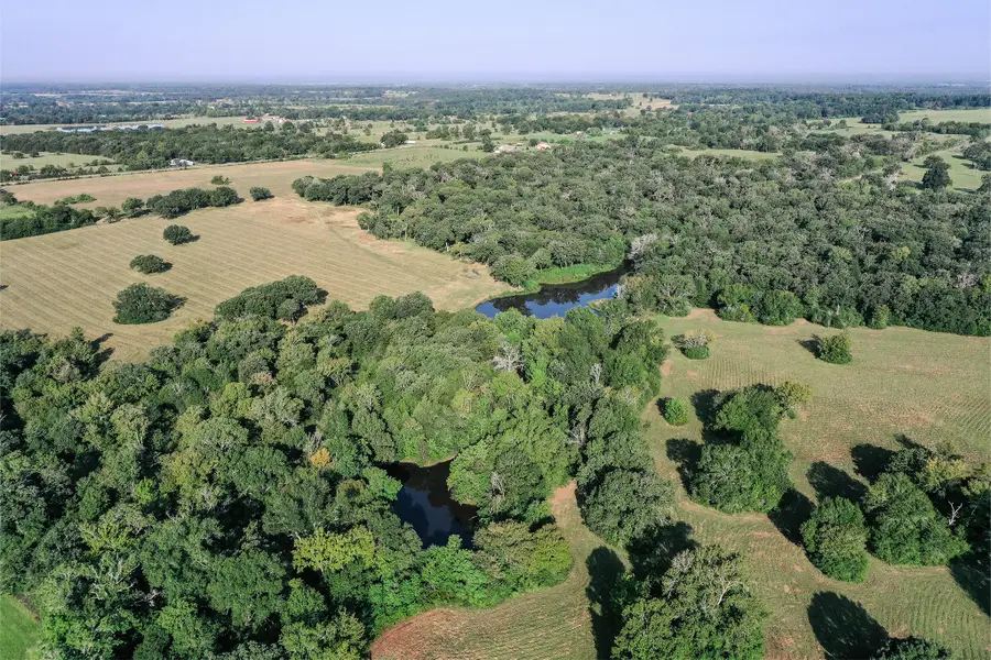 65 Acres Fm 2967, Crockett, TX 75835 - Image #2