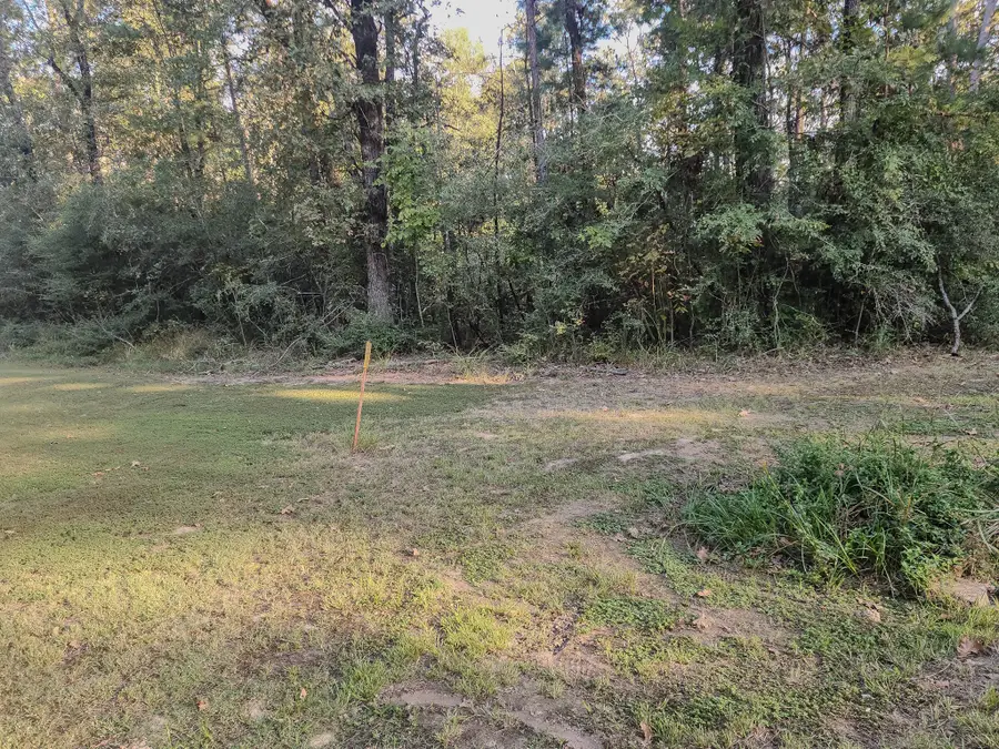 0 Hackberry Drive, Onalaska, TX 77360 - #2