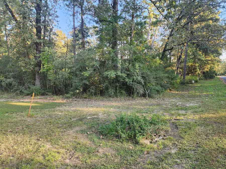 0 Hackberry Drive, Onalaska, TX 77360 - #3