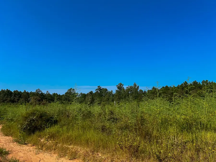 00 Shady Grove Rd, Woodville, TX 75979 - Image #3