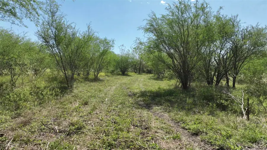 14100 Fm 1155 E, Washington, TX 77880 - #3