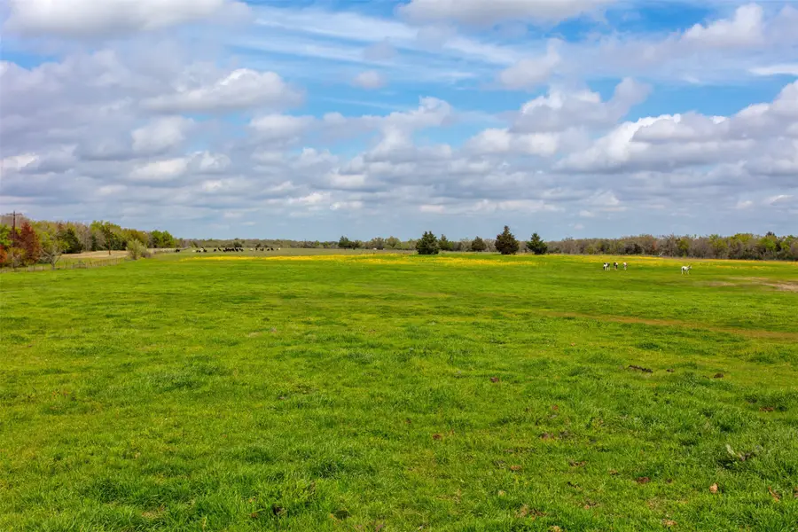3882 Webb Cemetary Road, Calvert, TX 77837 - Image #2