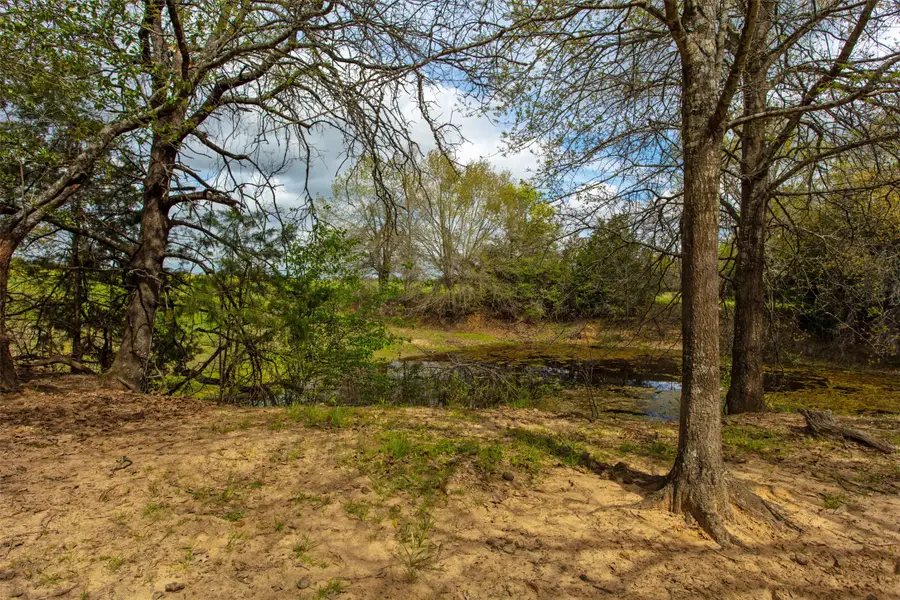 3882 Webb Cemetary Road, Calvert, TX 77837 - Image #3