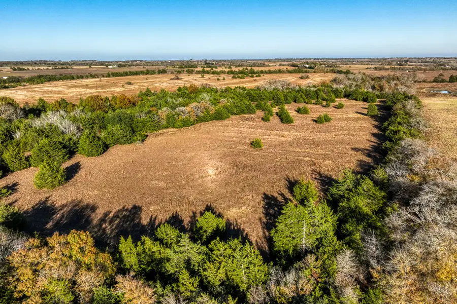 6717 Prihoda Road, New Ulm, TX 78950 - #2