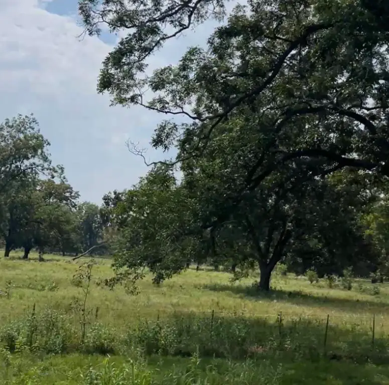 (20 AC) TBD Fm 2548, Midway, TX 75852 - Image #2