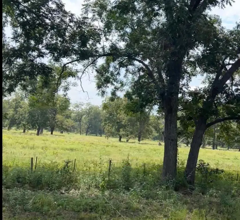 (20 AC) TBD Fm 2548, Midway, TX 75852 - Image #3