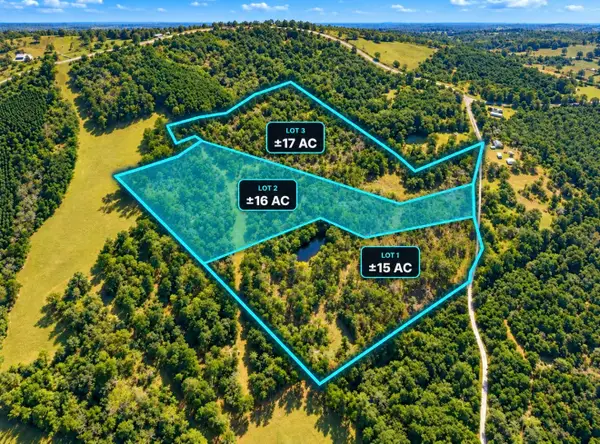 TBD Lot 002 Holland Road, Moscow, TX 75960
