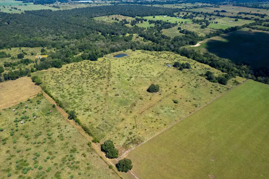 TBD Pr 4550, Normangee, TX 77871 - #3