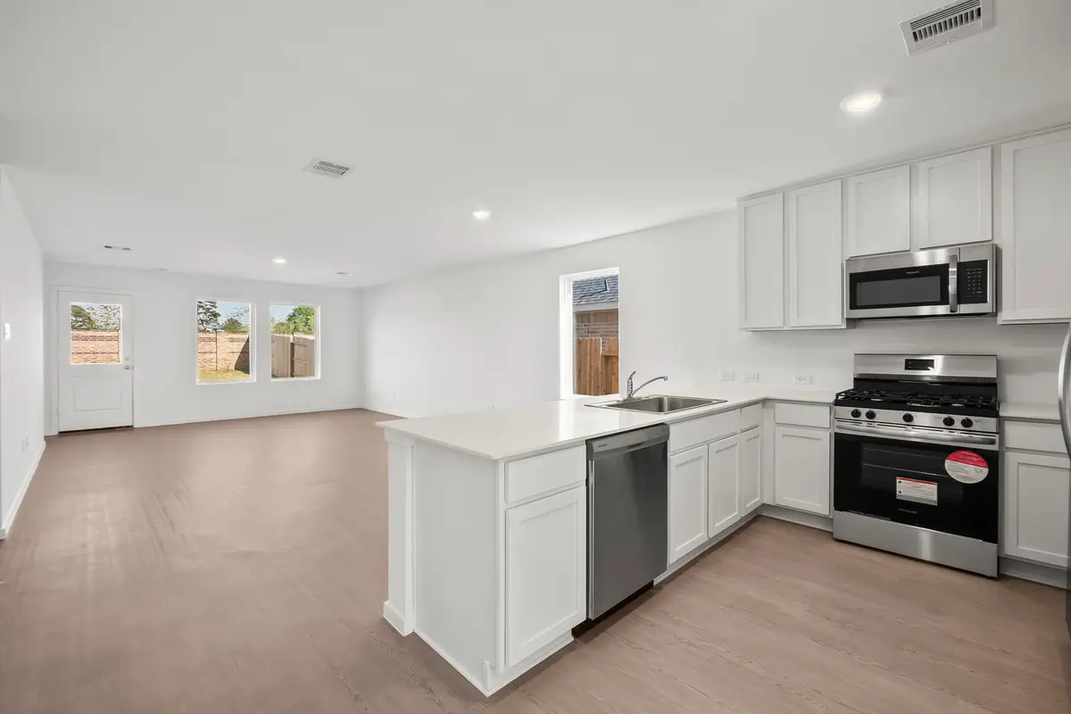 16106 Domestic Dove Way, Hockley, TX 77447 - Image #1