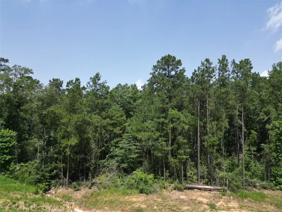 15884 Ridge Oak Road, Willis, TX 77378 - #3
