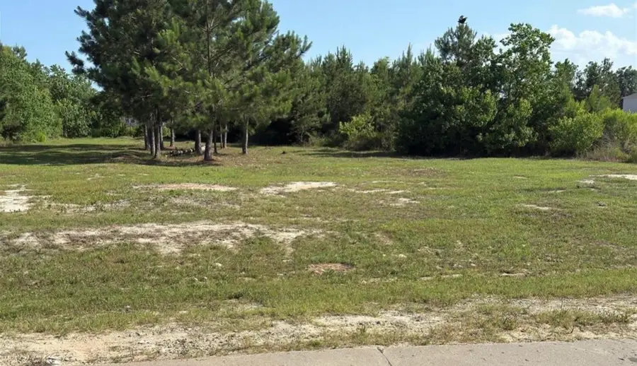 51 Road 5102, Cleveland, TX 77327 - #3